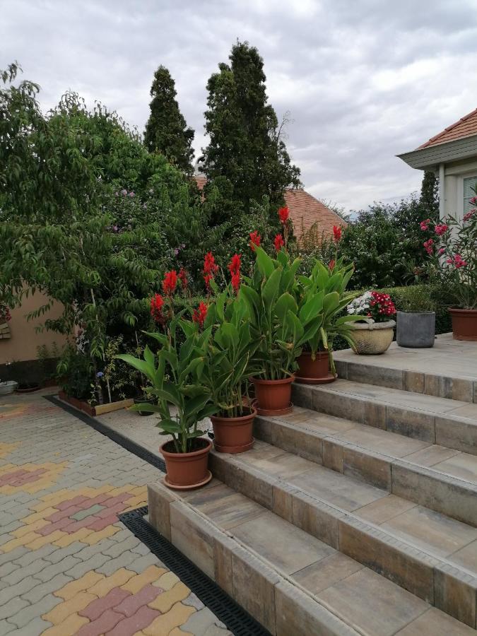 Kaktuszvirág Apartmanház Hajdúszoboszló Exterior foto