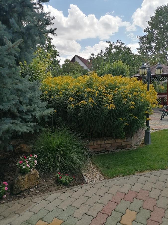 Kaktuszvirág Apartmanház Hajdúszoboszló Exterior foto